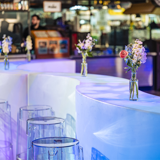 Snack Bar 65" Section