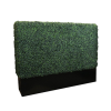 Short Boxwood Wall Short Boxwood Wall