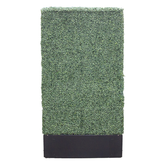 Tall Boxwood Wall Tall Boxwood Wall