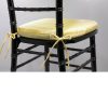 Sunshine Chiavari Cushion Sunshine Chiavari Cushion