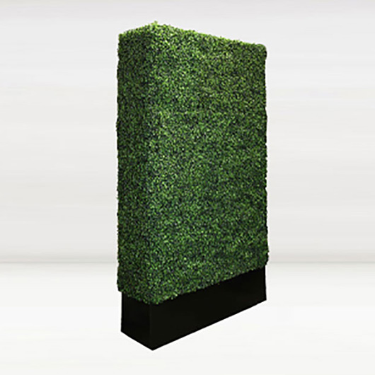 decorative tall topiary hedge - VF