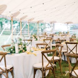 classic_back_yard_wedding_event_rentals_philly