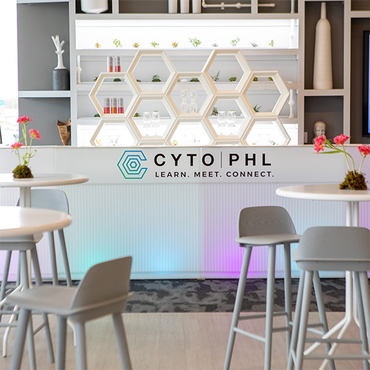 Draper Sofa - Midnight Blue Draper Sofa - Midnight Blue