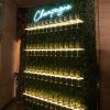 Champagne Neon Sign 32x9