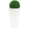 LUMINARY Planter with Topiary Ball