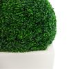 LUMINARY Planter with Topiary Ball LUMINARY Planter with Topiary Ball