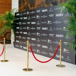 brass and red rope stanchion