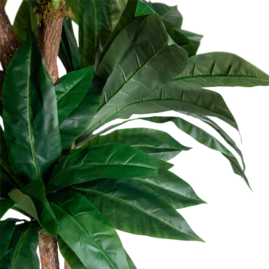 Banana Palm Tree 8' Banana Palm Tree 8'