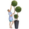Topiary Boxwood Tree 7' Topiary Boxwood Tree 7'