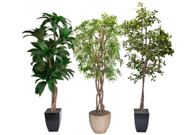 Faux Plants