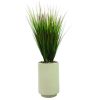 Vidalia Grass 56"