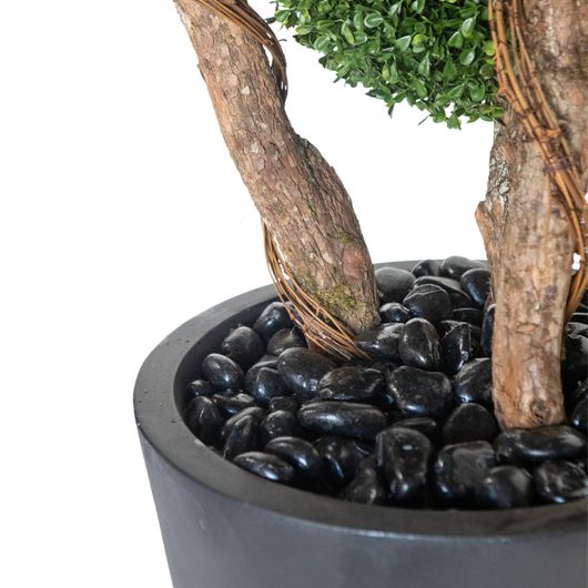 Topiary Boxwood Tree 7' Topiary Boxwood Tree 7'