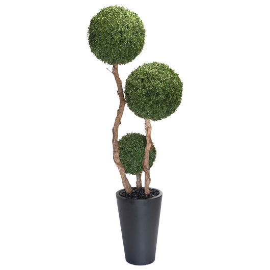 Topiary Boxwood Tree 7' Topiary Boxwood Tree 7'