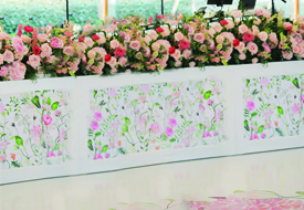Stage Fronts