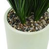 Vidalia Grass 56"