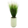 Vidalia Grass 56"