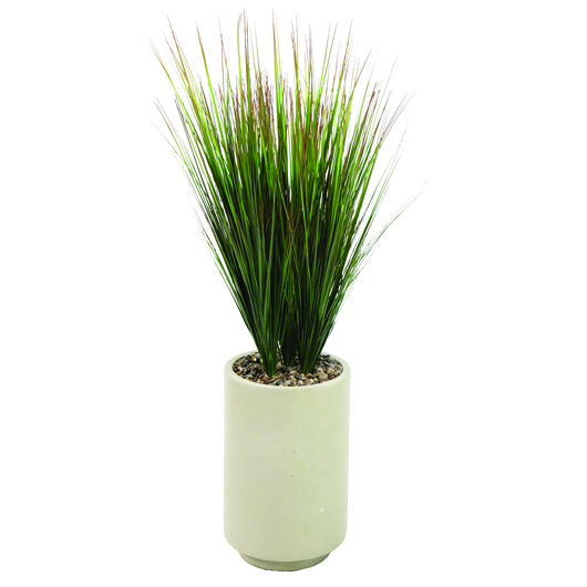 Vidalia Grass 56"