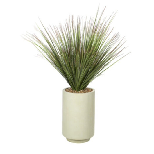 Vidalia Grass 56"