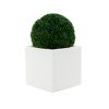 Cube Planter 17" with Topiary Ball - White