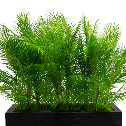 Palm Room Divider - Black Planter Palm Room Divider - Black Planter