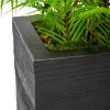 Palm Room Divider - Black Planter Palm Room Divider - Black Planter