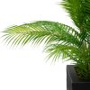 Palm Room Divider - Black Planter Palm Room Divider - Black Planter
