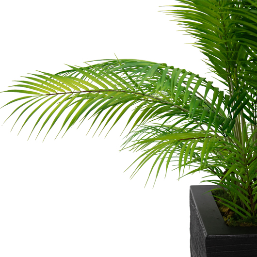 Palm Room Divider - Black Planter Palm Room Divider - Black Planter
