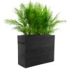 Palm Room Divider - Black Planter Palm Room Divider - Black Planter