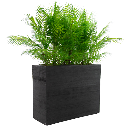 Fern Room Divider - Black