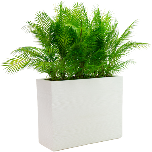 Fern Room Divider - Black