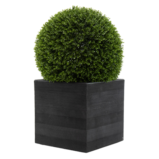 Cube Planter 21" with 28" Topiary Ball - Black