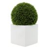 Cube Planter 21" with 28" Topiary Ball - White Cube Planter 21" with 28" Topiary Ball - White